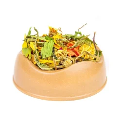 Norah's Summer Small Animal Salad Online