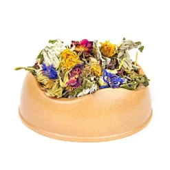 Norah's Vitality Small Animal Salad Sale