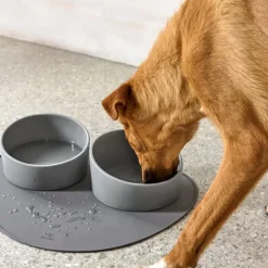 Palopa Cali Grey Dog Bowl Fashion
