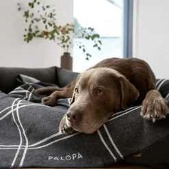Palopa Ida Check Anthracite Dog Blanket Clearance