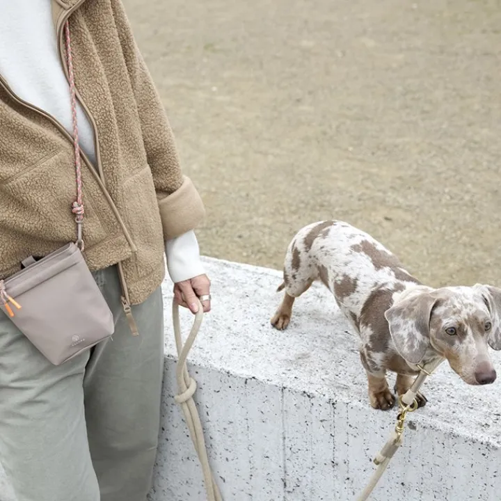Palopa Karl Taupe Dog Snack Bag Clearance