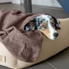 Palopa Mathilda Walnut Dog Blanket Hot