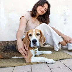 Palopa Nobo Sage Dog Travel Bag Online