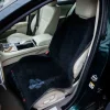 Pet Rebellion Car Seat Carpet Fashion