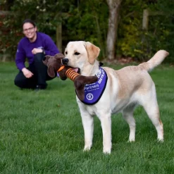 Pets Corner Leaping Petey Charity Dog Toy Discount
