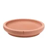 Pino Cat Saucer Foxy Terra New