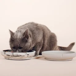 Pino Cat Saucer Marbled Dolphin Grey Online