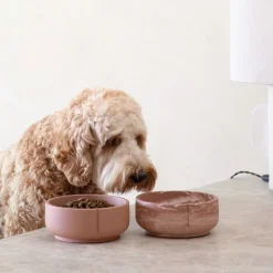 Pino Classic Dog Bowl Foxy Terra Best