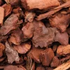 Zoo Med Pro Rep Orchid Bark Coarse 10L Sale