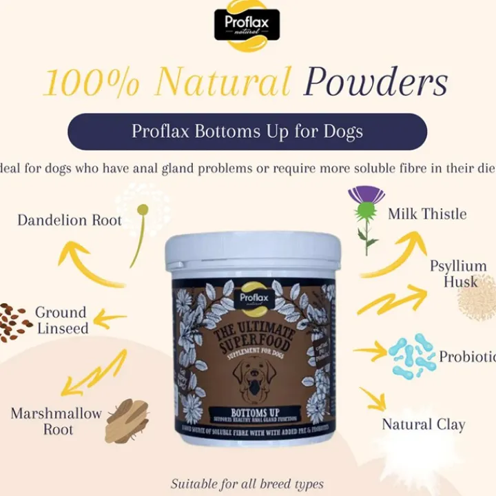 Proflax Bottoms Up Powder Hot