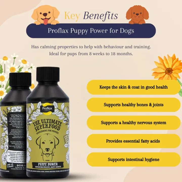 Proflax Puppy Power Dog Supplement 100ml Hot