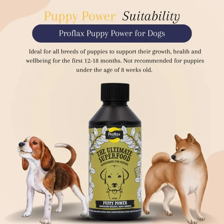 Proflax Puppy Power Dog Supplement 100ml Hot