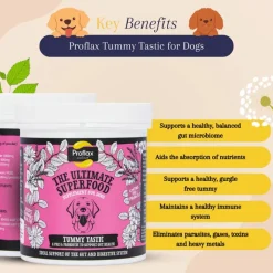 Proflax Tummy Tastic Powder Dog Supplement 125g Online