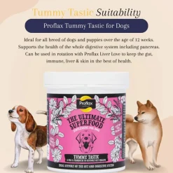 Proflax Tummy Tastic Powder Dog Supplement 125g Online