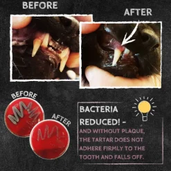 QChefs Dental Flakes for Cats 80g Sale