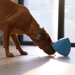 Play9 Roolo Treat Dispensing Dog Toy Online