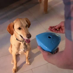 Play9 Roolo Treat Dispensing Dog Toy Online