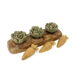 Rosewood Boredom Breaker Veggie Burst Salad Patch Treat Outlet