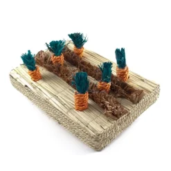 Rosewood Boredom Breaker Carrot Play Patch Outlet