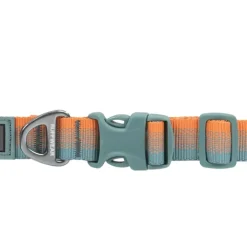Ruffwear Front Range Dog Collar Spring Fade Fashion