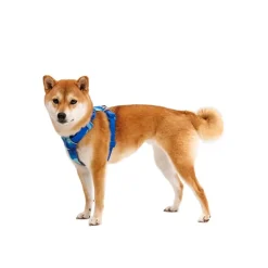 Ruffwear Front Range Dog Harness Coastal Mountains Fashion