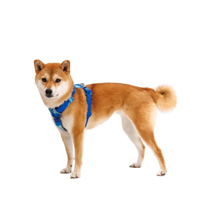 Ruffwear Front Range Dog Harness Coastal Mountains Fashion