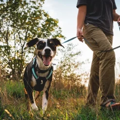 Ruffwear Hi & Light Harness Basalt Gray XS Discount