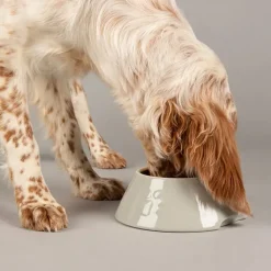 Scruffs Icon Spaniel Bowl Light Grey 21cm Clearance