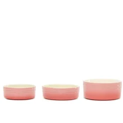 Scruffs Ombre Pet Bowl Pink 13cm Best