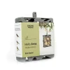 Singing Friend Anna Recycled Window Bird Feeder Outlet