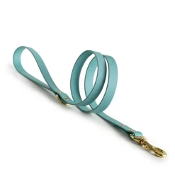 Storeys & Tails All Weather Dog Lead Turquoise Fashion