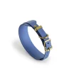 Storeys & Tails All Weather Sight Hound Dog Collar Turquoise Small Hot