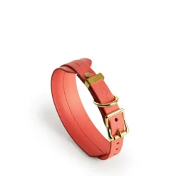 Storeys & Tails All Weather Sight Hound Dog Collar Coral Small Fashion