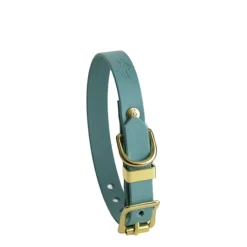 Storeys & Tails All Weather Dog Collar Turquoise Small Outlet