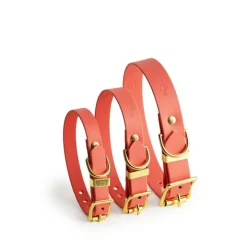 Storeys & Tails All Weather Dog Collar Coral Small Outlet