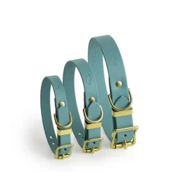 Storeys & Tails All Weather Dog Collar Turquoise Small Outlet