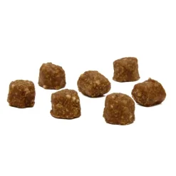 Tribal Trainers Turkey, Quinoa & Cranberry Dog Treats Fashion