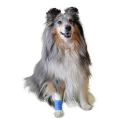 Vetlando Pet Plaster Best
