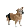 Vetlando Washable Female Pet Diaper XL Fashion