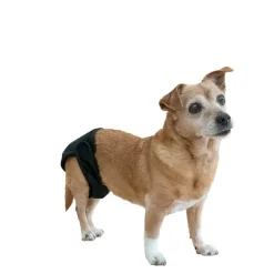 Vetlando Washable Female Pet Diaper XL Fashion