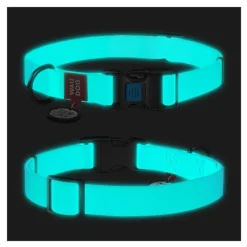 WAUDOG Collartex Dog Collar Mint Online