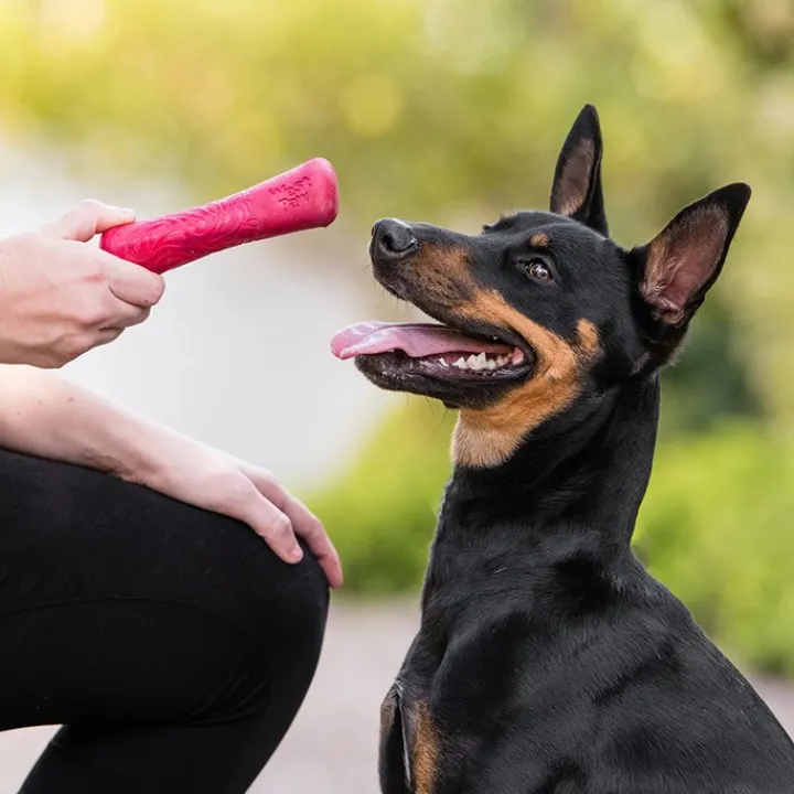West Paw Drifty Hibiscus Dog Toy Fashion
