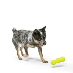 West Paw Rumpus Green 13cm Best