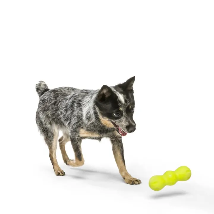 West Paw Rumpus Green 13cm Best