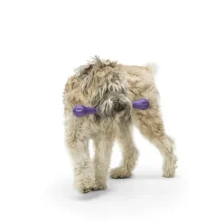 West Paw Zwig Eggplant Dog Toy Hot