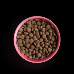 Yora Insect Protein Adult Cat Complete Dry Food Hot
