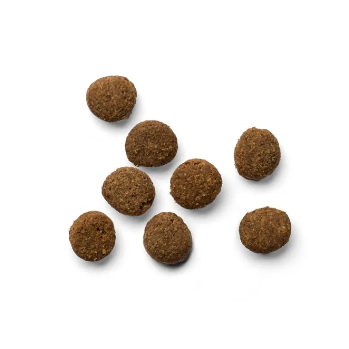 Yora Insect Protein Adult Cat Complete Dry Food Hot
