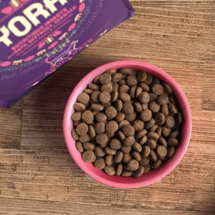 Yora Insect Protein Adult Cat Complete Dry Food Hot
