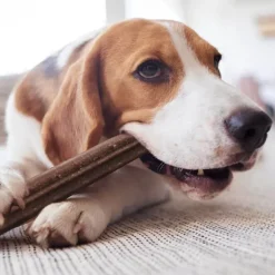 Yora Insect Protein Dental Sticks for Dogs Discount