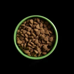 Yora Insect Protein Large Breed Dry Dog Food Fashion